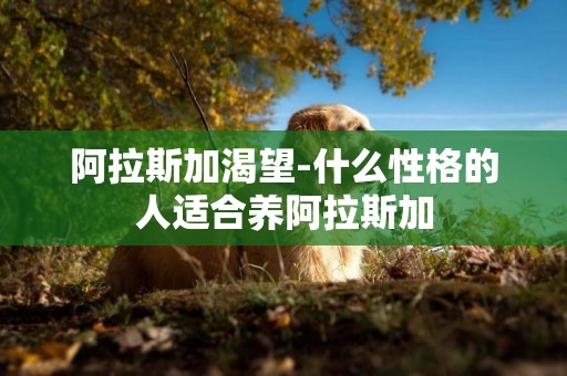 阿拉斯加渴望-什么性格的人適合養阿拉斯加