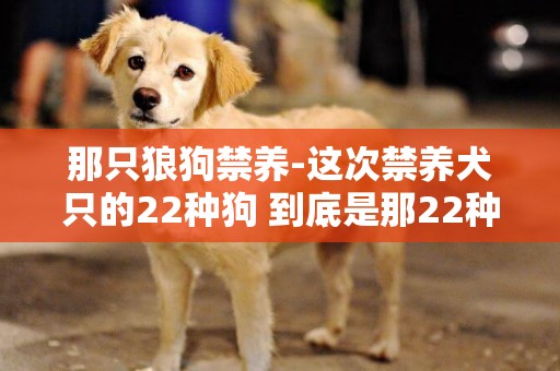 那只狼狗禁養-這次禁養犬只的22種狗 到底是那22種？