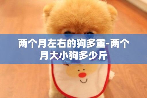兩個月左右的狗多重-兩個月大小狗多少斤