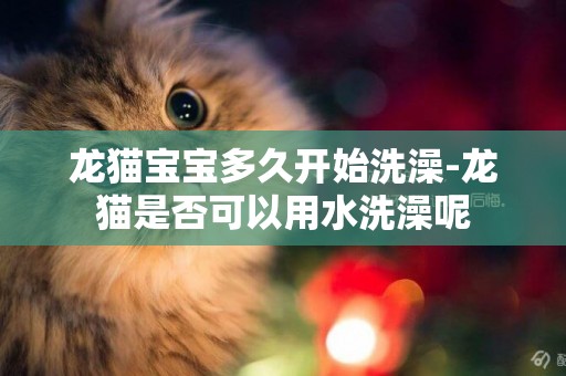 龍貓寶寶多久開始洗澡-龍貓是否可以用水洗澡呢