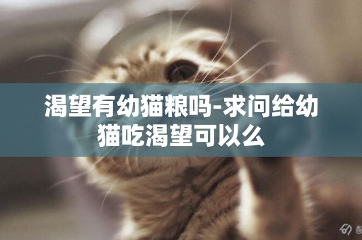 渴望有幼貓糧嗎-求問給幼貓吃渴望可以么