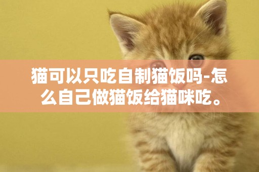 貓可以只吃自制貓飯嗎-怎么自己做貓飯給貓咪吃。