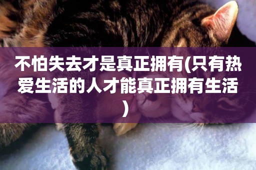 不怕失去才是真正擁有(只有熱愛生活的人才能真正擁有生活) 