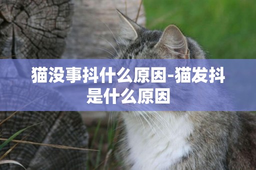 貓沒事抖什么原因-貓發抖是什么原因