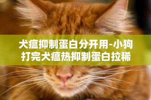 犬瘟抑制蛋白分開用-小狗打完犬瘟熱抑制蛋白拉稀