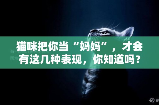 貓咪把你當“媽媽”，才會有這幾種表現，你知道嗎？ 