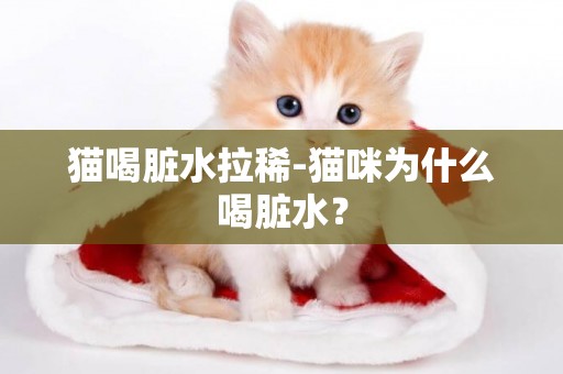貓喝臟水拉稀-貓咪為什么喝臟水？