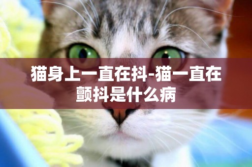 貓身上一直在抖-貓一直在顫抖是什么病