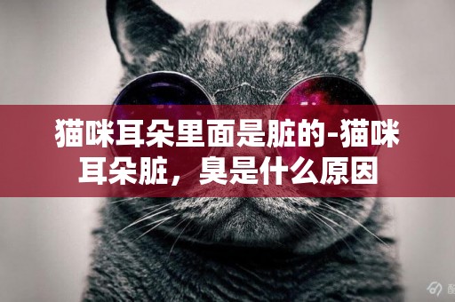 貓咪耳朵里面是臟的-貓咪耳朵臟，臭是什么原因