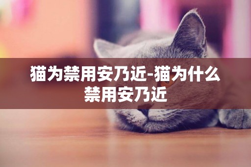 貓為禁用安乃近-貓為什么禁用安乃近