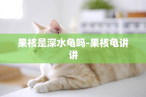 果核是深水龜嗎-果核龜講講