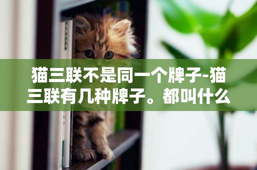 貓三聯不是同一個牌子-貓三聯有幾種牌子。都叫什么