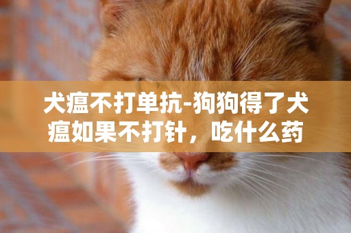 犬瘟不打單抗-狗狗得了犬瘟如果不打針，吃什么藥