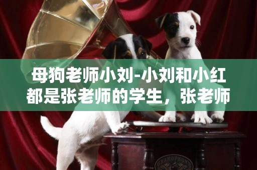 母狗老師小劉-小劉和小紅都是張老師的學生，張老師的生日是M月N日，2人都知道張老師的生日是下列10組