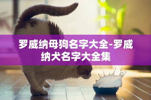 羅威納母狗名字大全-羅威納犬名字大全集