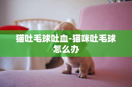 貓吐毛球吐血-貓咪吐毛球怎么辦