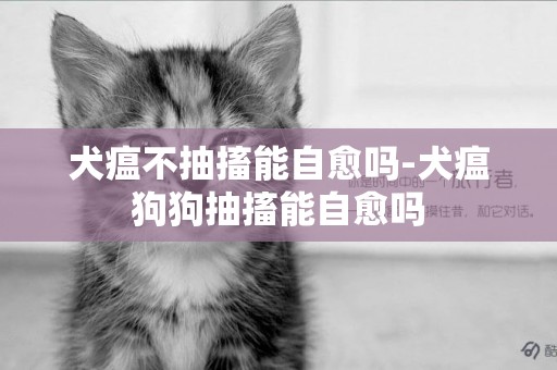 犬瘟不抽搐能自愈嗎-犬瘟狗狗抽搐能自愈嗎