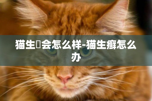 貓生廯會怎么樣-貓生癬怎么辦