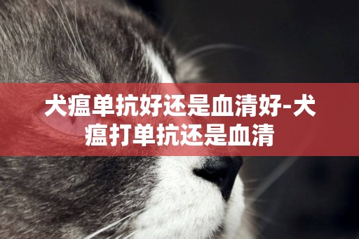 犬瘟單抗好還是血清好-犬瘟打單抗還是血清