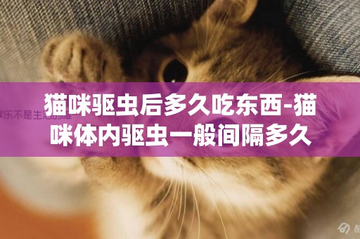 貓咪驅蟲后多久吃東西-貓咪體內驅蟲一般間隔多久