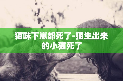 貓咪下崽都死了-貓生出來的小貓死了