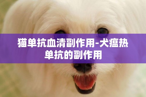 貓單抗血清副作用-犬瘟熱單抗的副作用