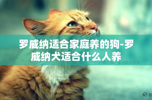 羅威納適合家庭養的狗-羅威納犬適合什么人養