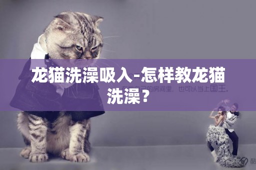 龍貓洗澡吸入-怎樣教龍貓洗澡？