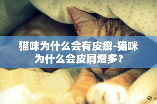 貓咪為什么會有皮癬-貓咪為什么會皮屑增多？