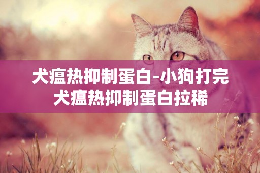 犬瘟熱抑制蛋白-小狗打完犬瘟熱抑制蛋白拉稀