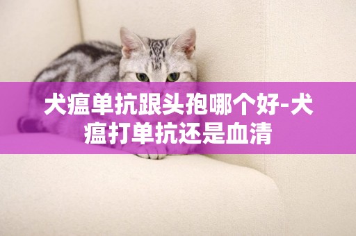 犬瘟單抗跟頭孢哪個好-犬瘟打單抗還是血清