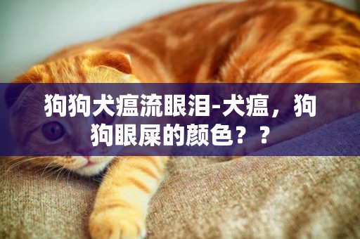 狗狗犬瘟流眼淚-犬瘟，狗狗眼屎的顏色？？