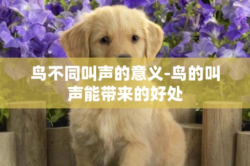 鳥不同叫聲的意義-鳥的叫聲能帶來的好處