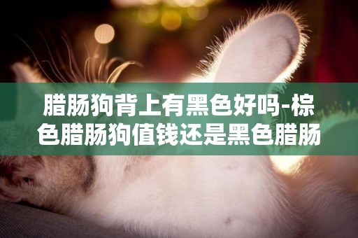 臘腸狗背上有黑色好嗎-棕色臘腸狗值錢還是黑色臘腸狗值錢