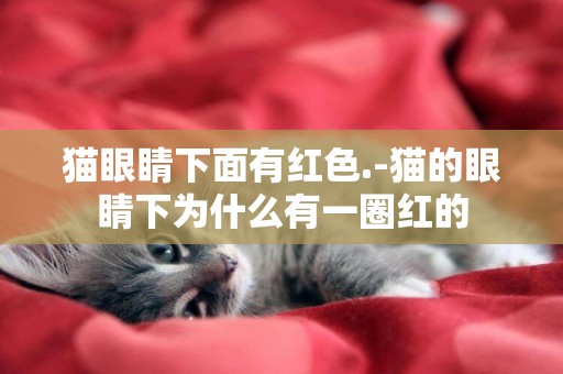 貓眼睛下面有紅色.-貓的眼睛下為什么有一圈紅的
