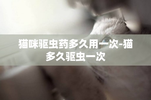 貓咪驅蟲藥多久用一次-貓多久驅蟲一次