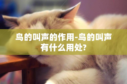 鳥的叫聲的作用-鳥的叫聲有什么用處?