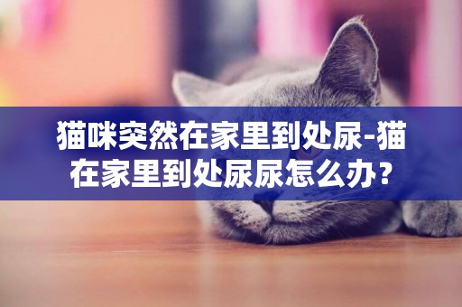 貓咪突然在家里到處尿-貓在家里到處尿尿怎么辦？