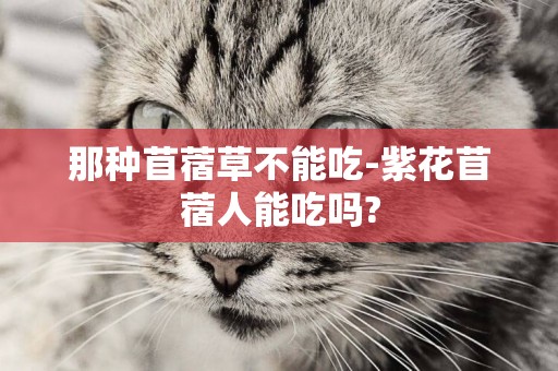 那種苜蓿草不能吃-紫花苜蓿人能吃嗎?