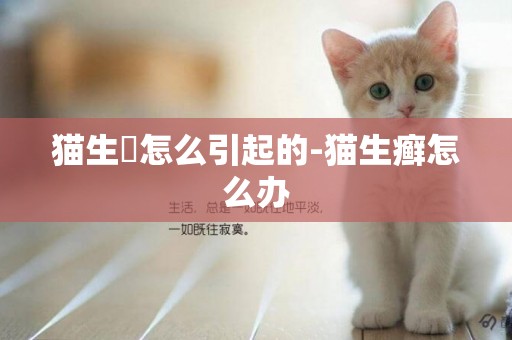 貓生廯怎么引起的-貓生癬怎么辦