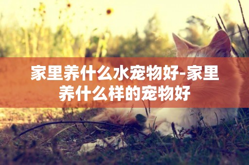 家里養什么水寵物好-家里養什么樣的寵物好