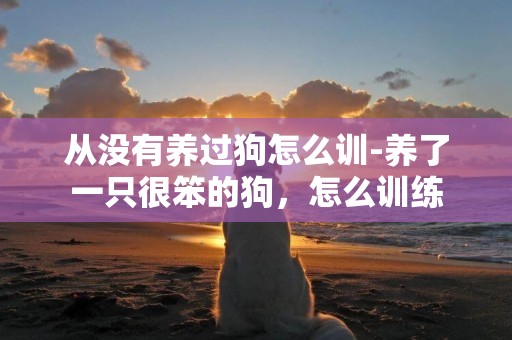 從沒有養過狗怎么訓-養了一只很笨的狗，怎么訓練