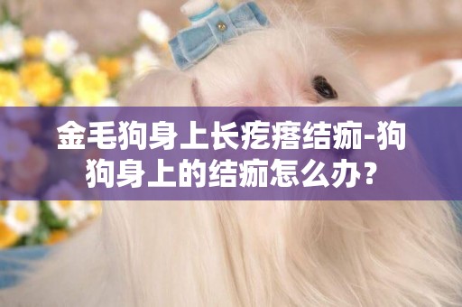 金毛狗身上長疙瘩結痂-狗狗身上的結痂怎么辦？