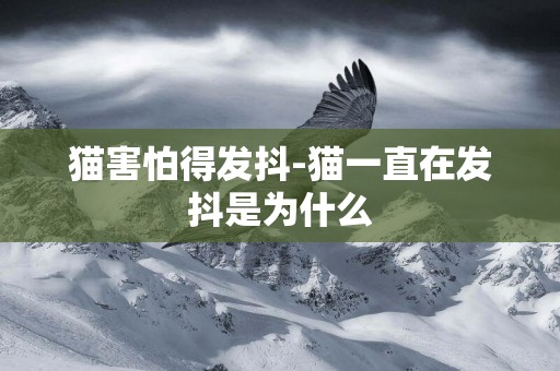 貓害怕得發抖-貓一直在發抖是為什么