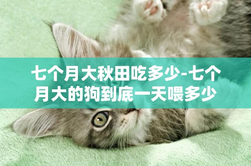 七個月大秋田吃多少-七個月大的狗到底一天喂多少