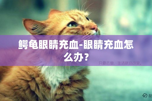 鱷龜眼睛充血-眼睛充血怎么辦？