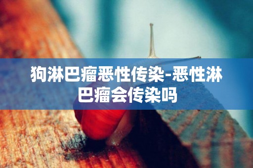 狗淋巴瘤惡性傳染-惡性淋巴瘤會傳染嗎