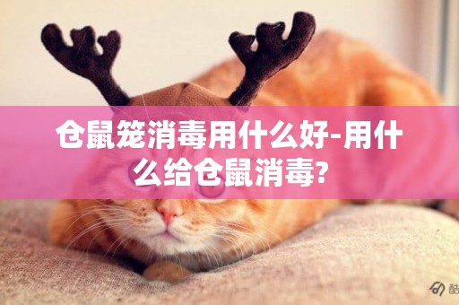 倉鼠籠消毒用什么好-用什么給倉鼠消毒?