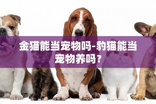 金貓能當寵物嗎-豹貓能當寵物養嗎？