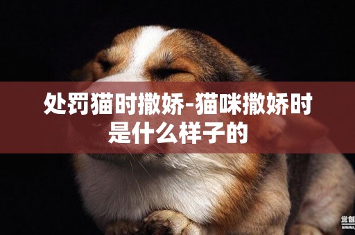 處罰貓時撒嬌-貓咪撒嬌時是什么樣子的